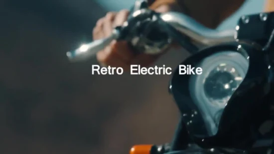 Retro Style 48V Ebike Fahrrad, China Bicicleta Electrica 26