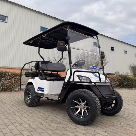 2/4/6/8/10 Seater/Seat/Passenger Lead Acid/Lithium Battery Electric Golf Cart, Golf Buggy, Golf Car, Club Car with Folded Backseat Storage Box with CE and DOT