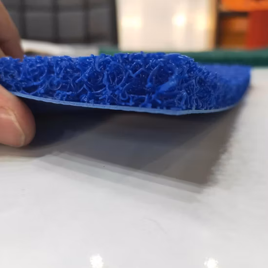 Commercial Personalized Luxury Front Door PVC Coil Mat Carpet with Firm Backing