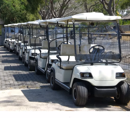 4 Wheel Drive Strong Power Lithium Battery 4 Wheel Drive Strong Power Lithium Battery Sale 2 Person Electric Car Sport Transportation