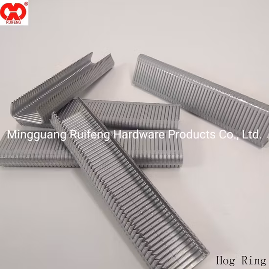 Ruifeng Brand Stainless Steel Galvanize Hr-22 D- Style Hog Ring, Collated Nail in Anhui.